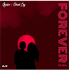 track cover