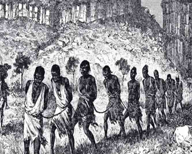 About Africa